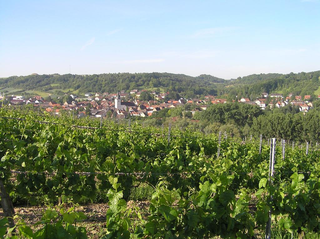 Ferienwohnung Am Alten Berg Ochsenfurt Dış mekan fotoğraf