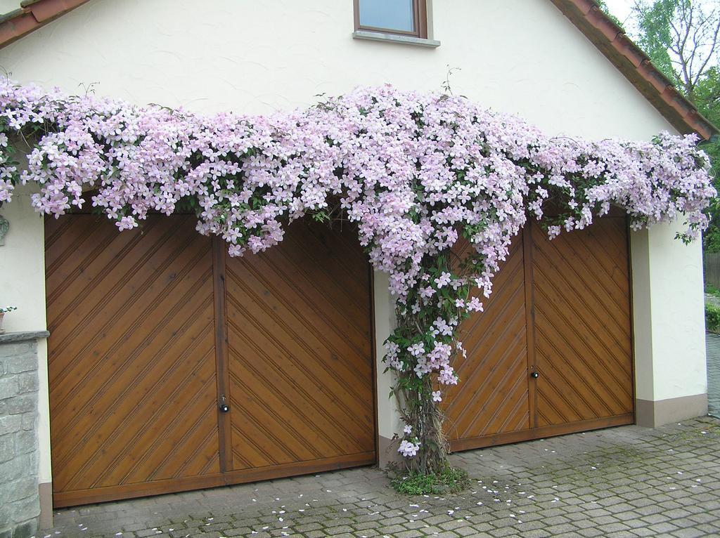 Ferienwohnung Am Alten Berg Ochsenfurt Dış mekan fotoğraf
